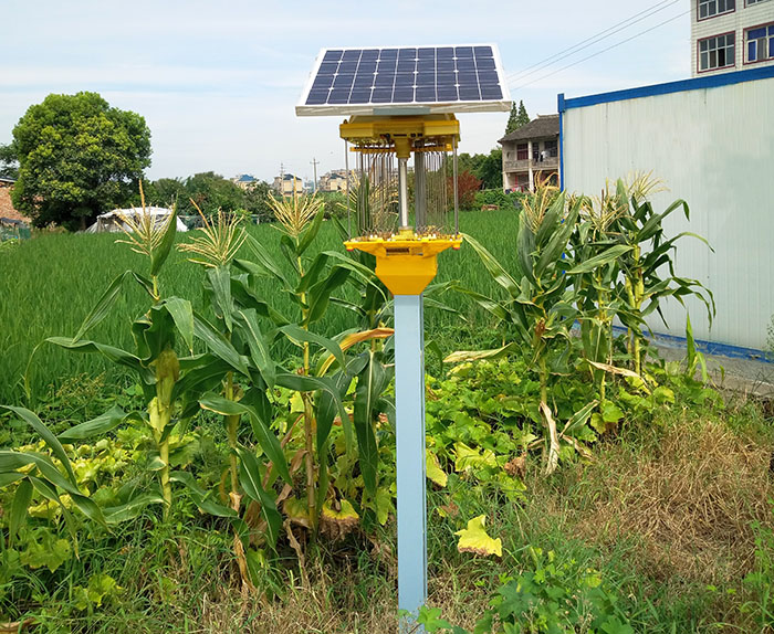 油菜基地殺蟲(chóng)燈多少畝一個(gè)